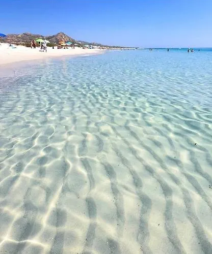 公寓 Le Residenze Del Mare 2 Con Cucina 拉卡勒塔