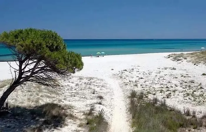 公寓 Le Residenze Del Mare 2 Con Cucina *